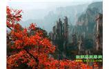 春節(jié)期間：張家界、天子山、金鞭溪自駕車精華精品游