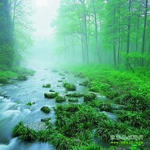 【純玩散拼尊享系列3】張家界、天子山、袁家界、黃龍洞、鳳凰三晚四日游