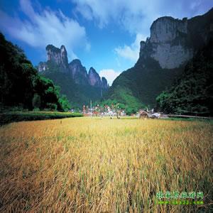 張家界往返純玩散拼：矮寨大橋、德夯苗寨、鳳凰古城、芙蓉鎮(zhèn)二日游